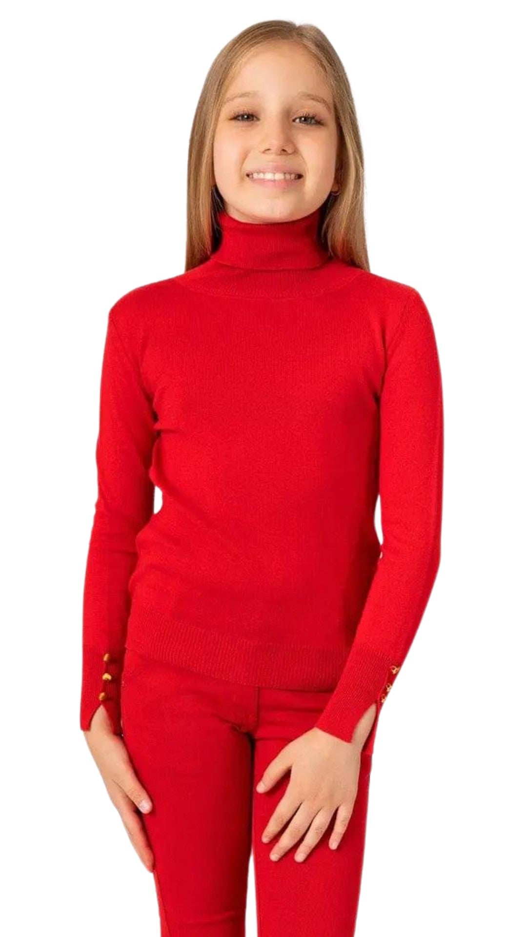 Buy Solid Turtle Neck T-shirt with Long Sleeves